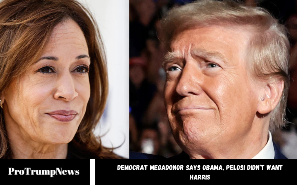 Democrat Megadonor Says Obama