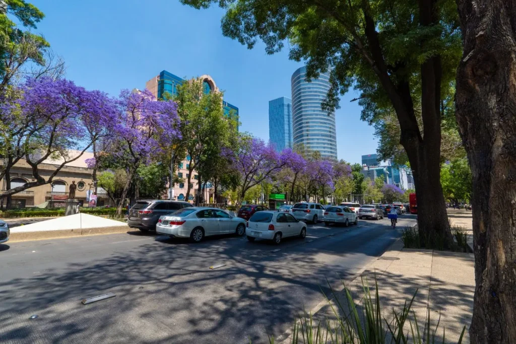 Mexico Moves to Force Platforms to Protect Minors From Harmful Content Busy Mexico City avenue lined with purple jacaranda trees and modern towers
